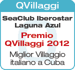 Premio QVillaggi 2012
